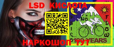 гидропоника Камышлов