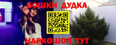 гидропоника Камышлов