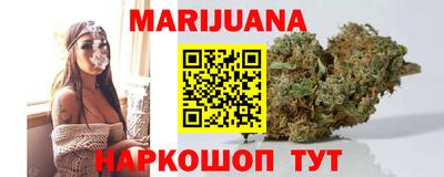 гидропоника Камышлов