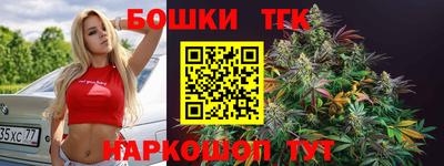 гидропоника Камышлов