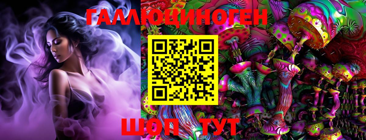 Котельники  Псилоцибиновые грибы Cubensis  Вход с VPN 